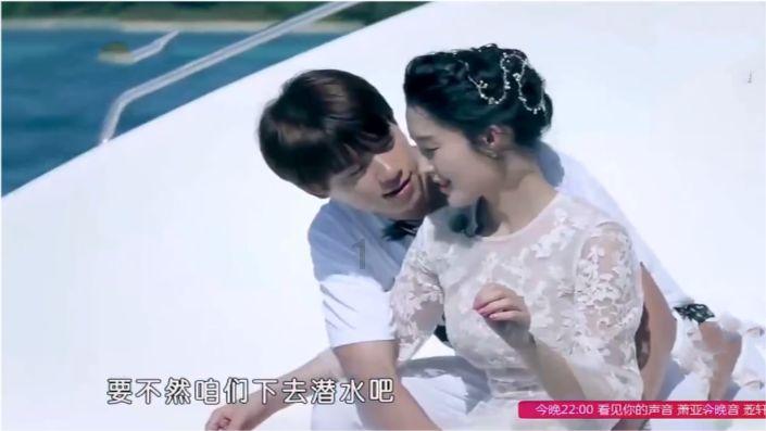 可爱小猫向上跳